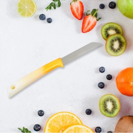 Kitchen Knife with Stainless Steel (1 Pc)